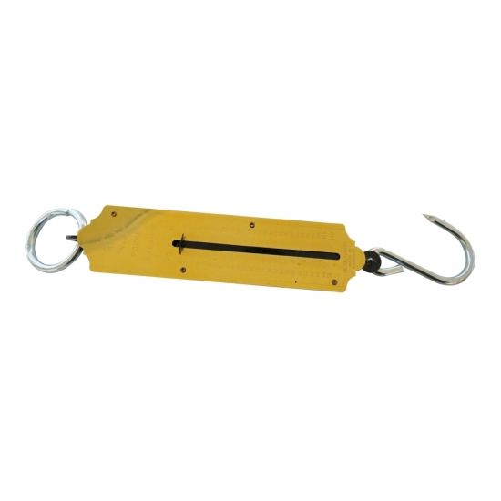 Bascula romana 50 Kg 207144 OBI